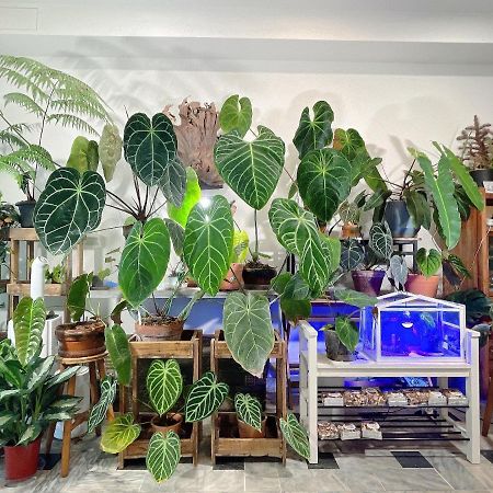 Home In Tainan Extérieur photo